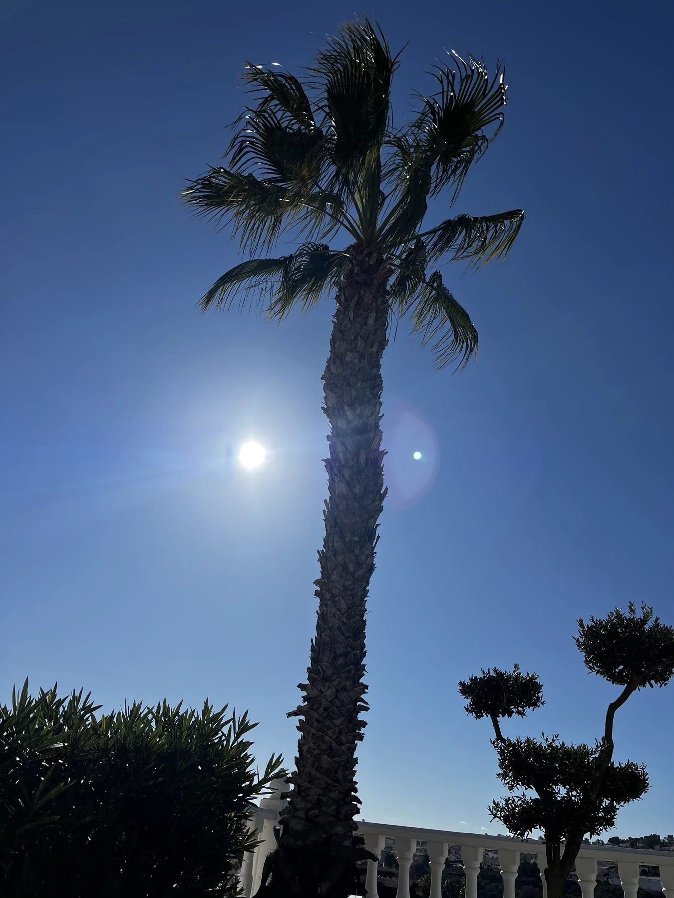 Costa Blanca – Villa – billede 2