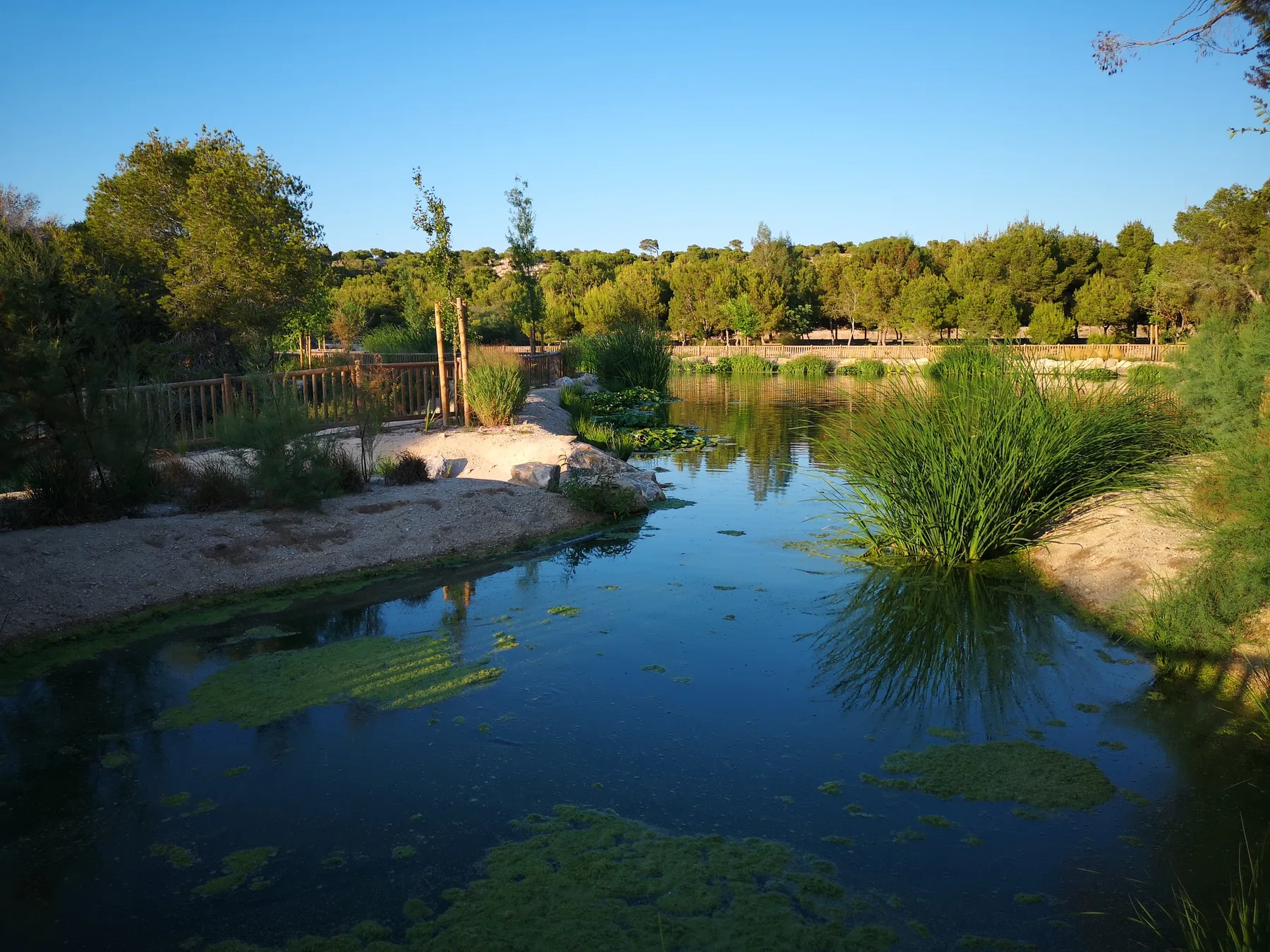 Costa Blanca – Villa – billede 13