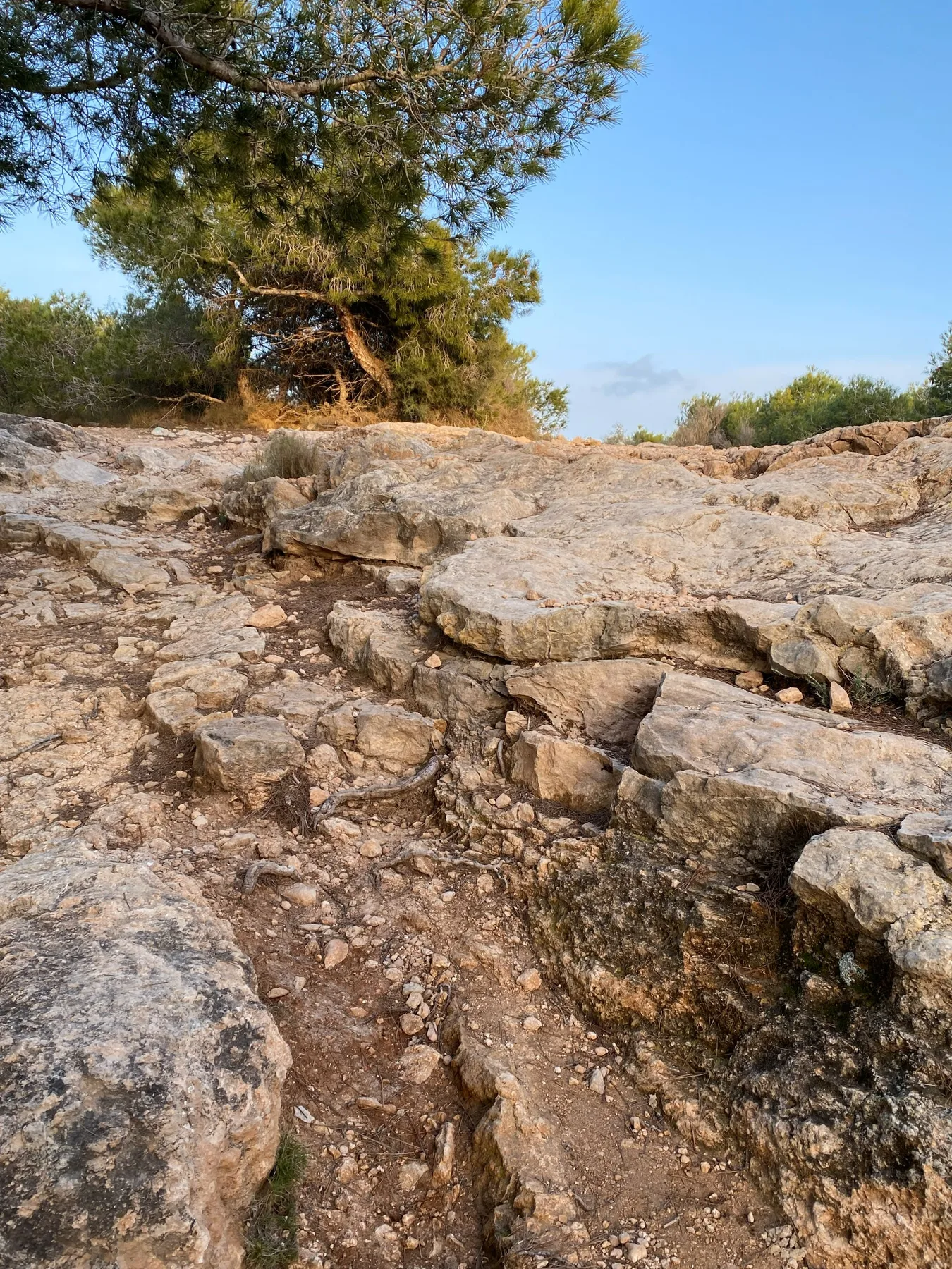 Costa Blanca – Villa – billede 16