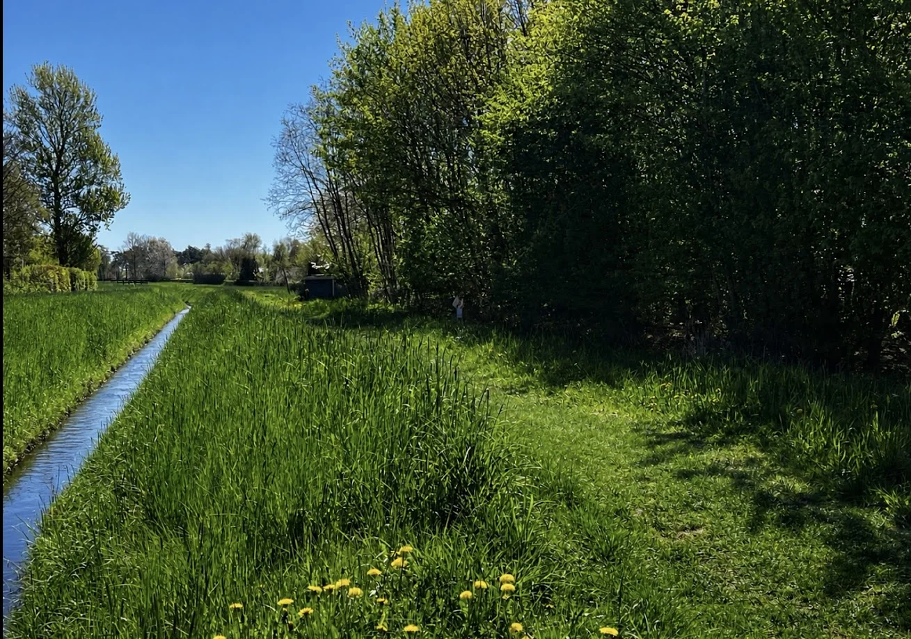Pilemose – billede 2