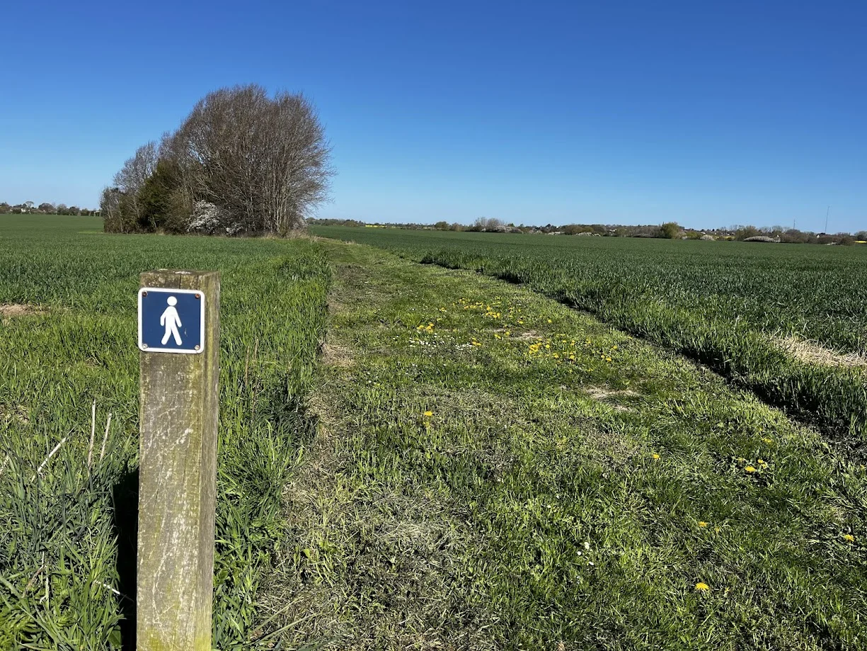 Pilemose – billede 3